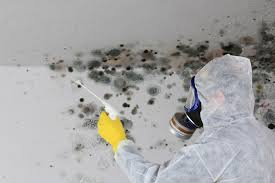 Best Mold Remediation for Healthcare Facilities  in Signal Mountain, TN